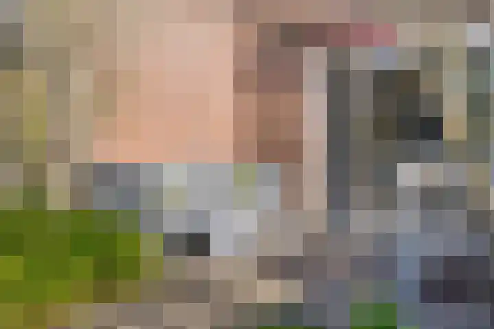 Veerman 48 Spijkenisse thumbnail 22