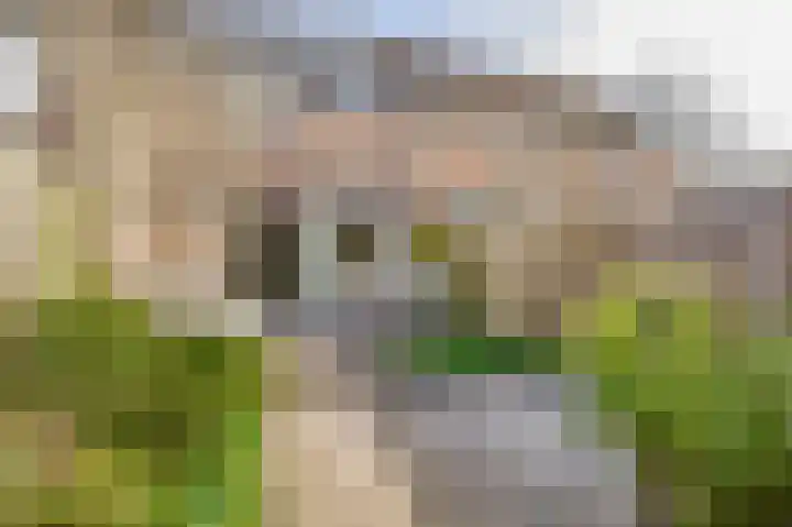 Veerman 48 Spijkenisse thumbnail 23