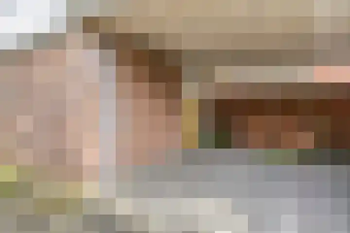 Veerman 48 Spijkenisse thumbnail 25