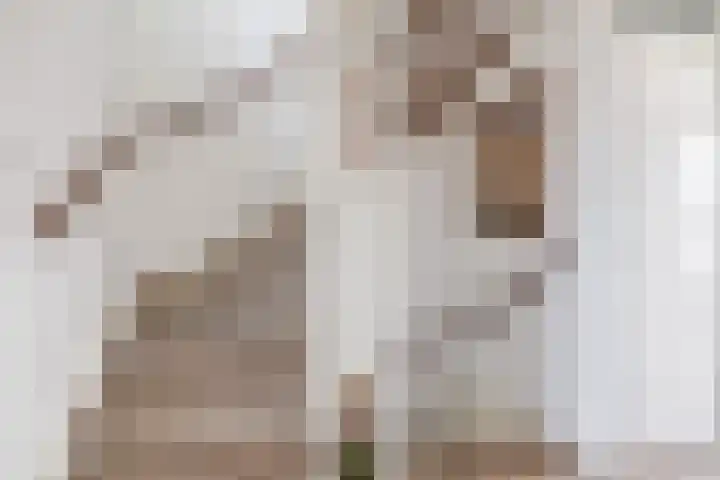Veerman 48 Spijkenisse thumbnail 27