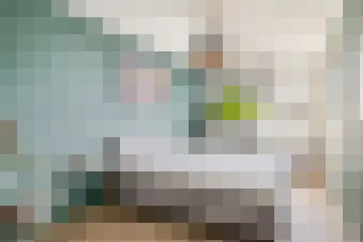 Veerman 48 Spijkenisse thumbnail 28