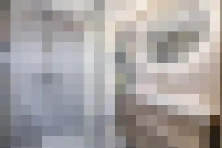 Veerman 48 Spijkenisse thumbnail 31