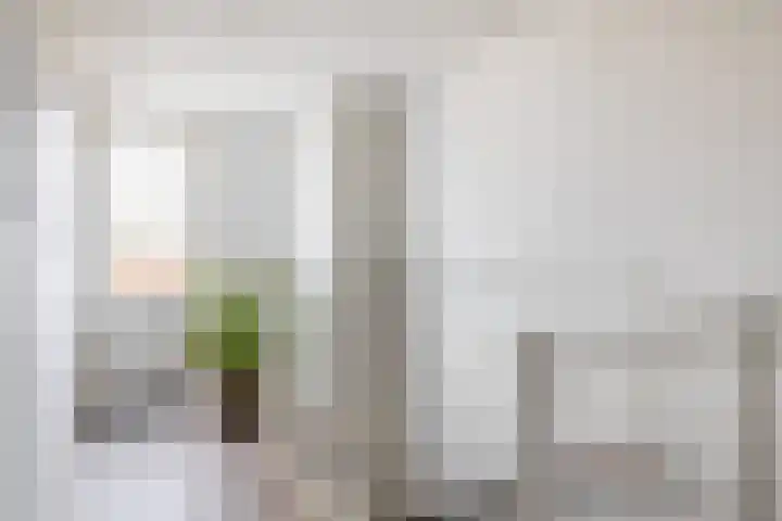 Veerman 48 Spijkenisse thumbnail 33