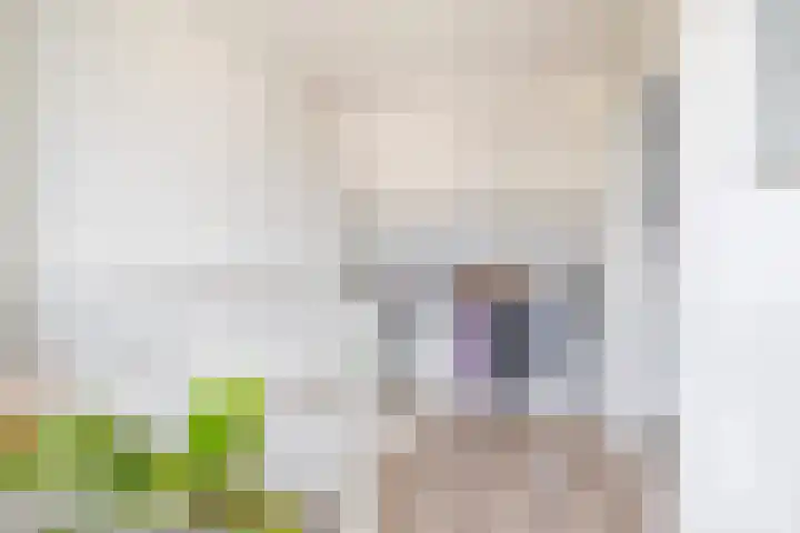 Veerman 48 Spijkenisse thumbnail 34