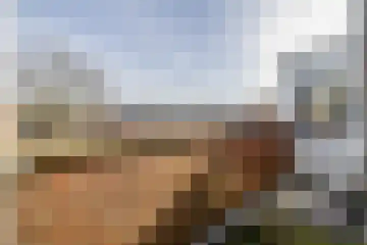Veerman 48 Spijkenisse thumbnail 35