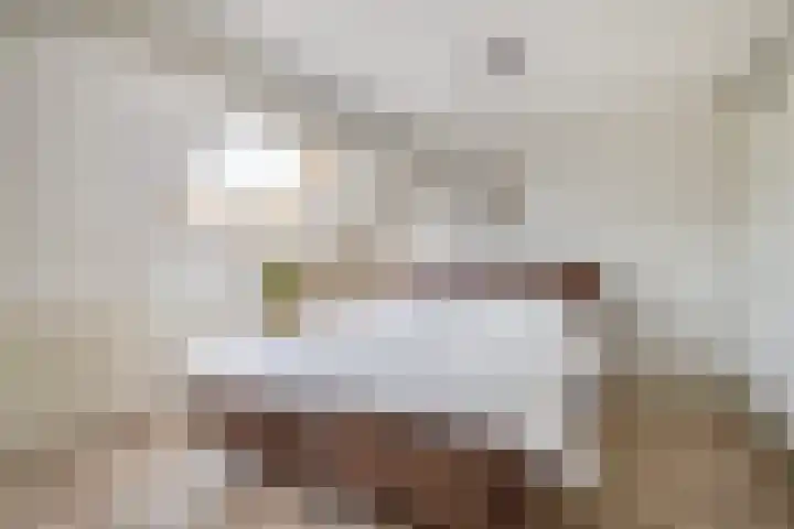 Veerman 48 Spijkenisse thumbnail 37