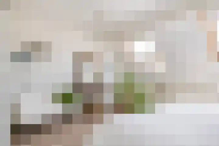 Veerman 48 Spijkenisse thumbnail 38