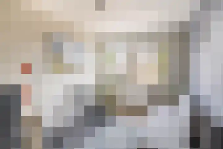 Veerman 48 Spijkenisse thumbnail 39