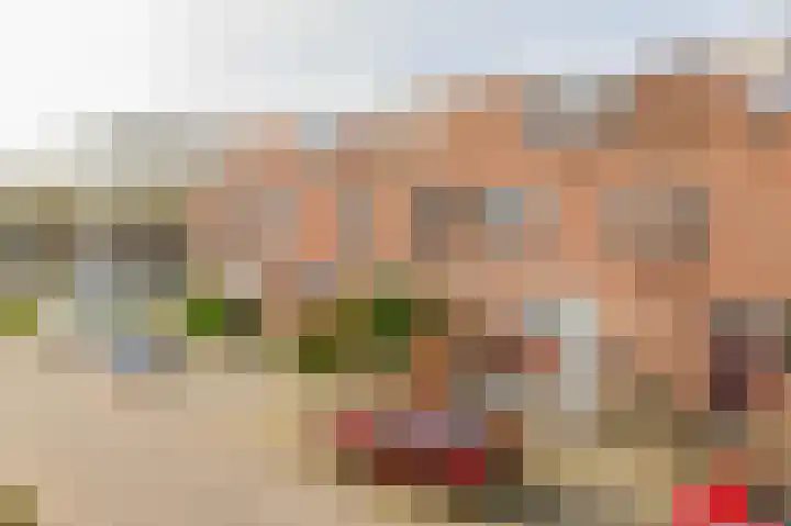 Veerman 48 Spijkenisse thumbnail 4