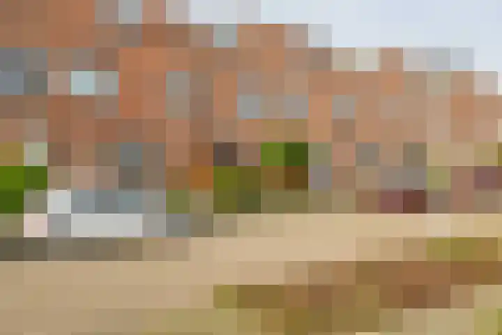 Veerman 48 Spijkenisse thumbnail 5