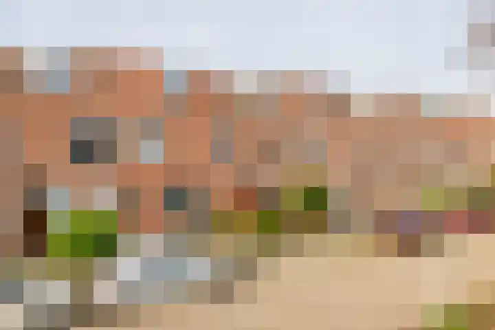 Veerman 48 Spijkenisse thumbnail 6
