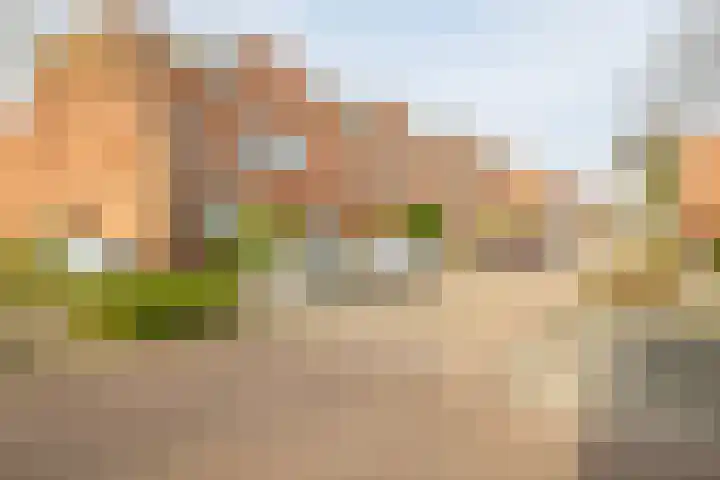 Veerman 48 Spijkenisse thumbnail 7
