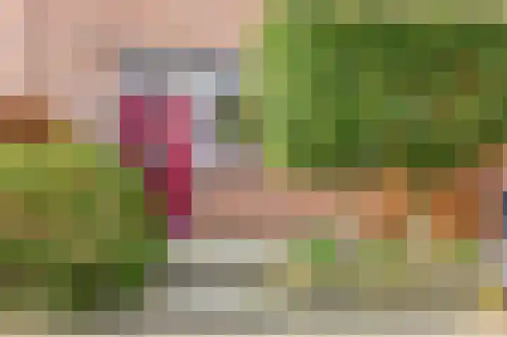 Veerman 48 Spijkenisse thumbnail 8