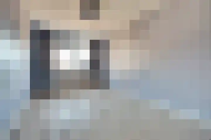 Veerman 56 Spijkenisse thumbnail 12