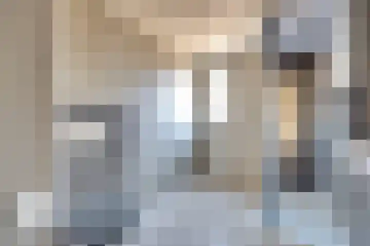 Veerman 56 Spijkenisse thumbnail 27