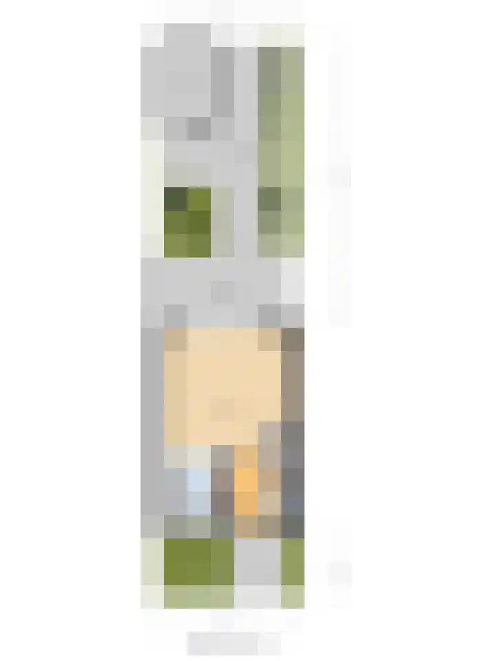 Veerman 56 Spijkenisse thumbnail 32