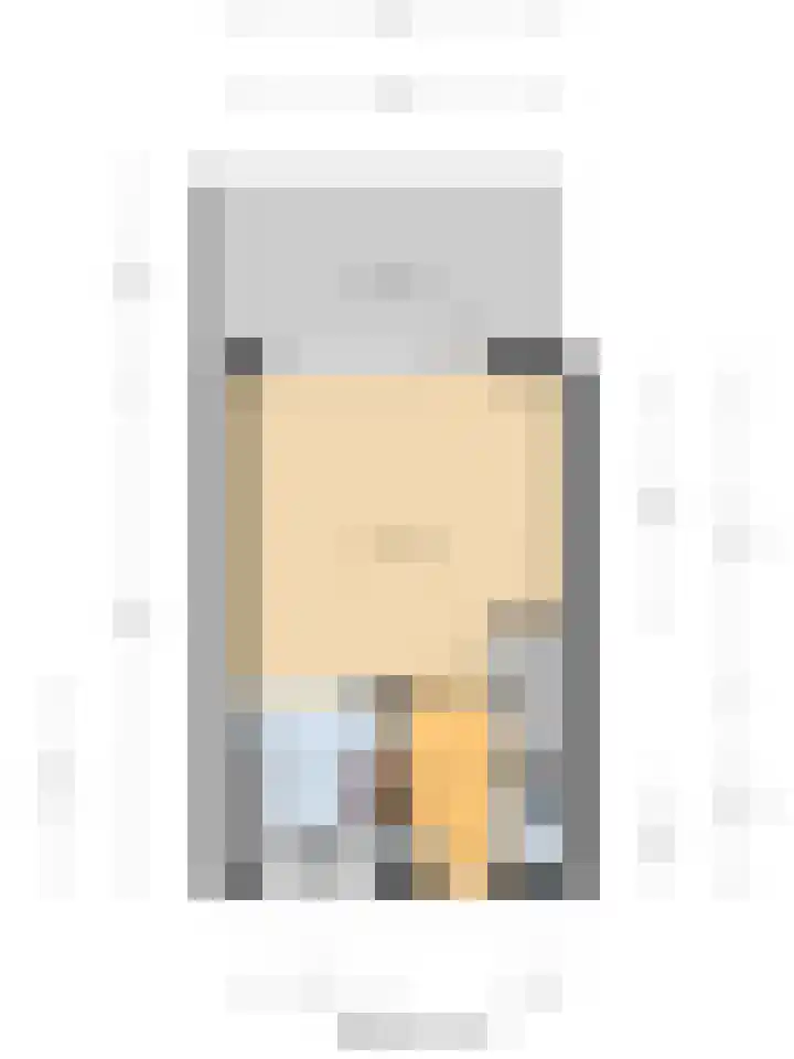 Veerman 56 Spijkenisse thumbnail 33