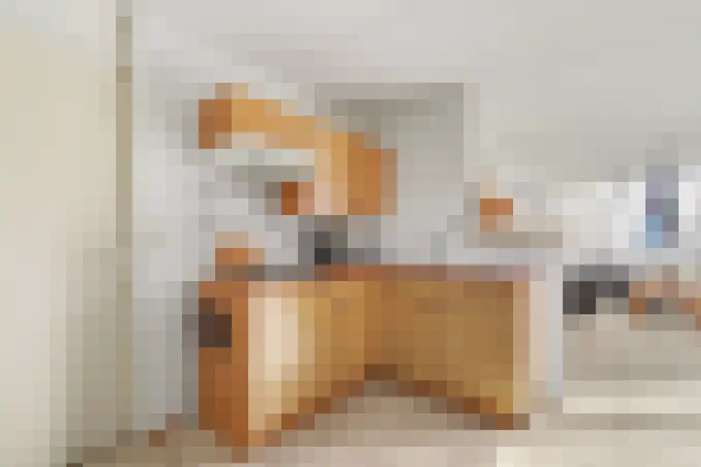 Veermanshof 5 Scharendijke thumbnail 12