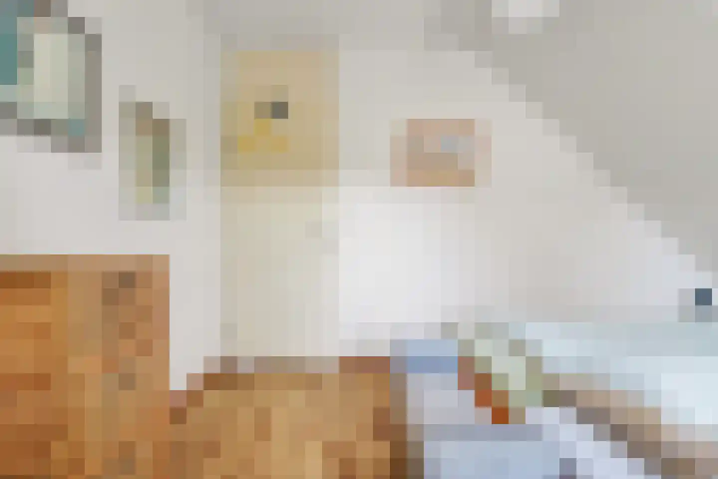 Veermanshof 5 Scharendijke thumbnail 17