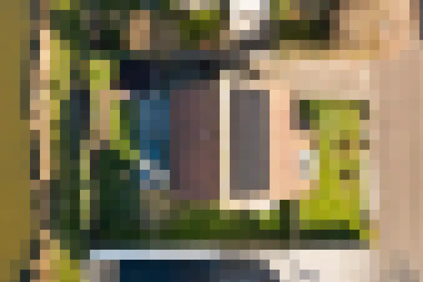 Veermanshof 5 Scharendijke thumbnail 27
