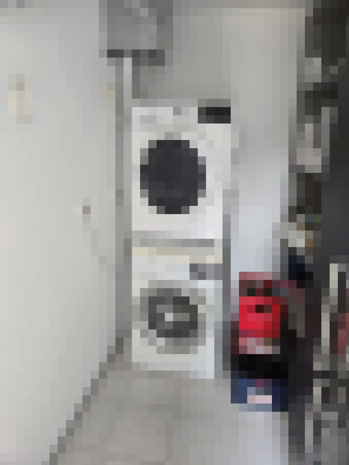 Veermanshof 6 Scharendijke thumbnail 10