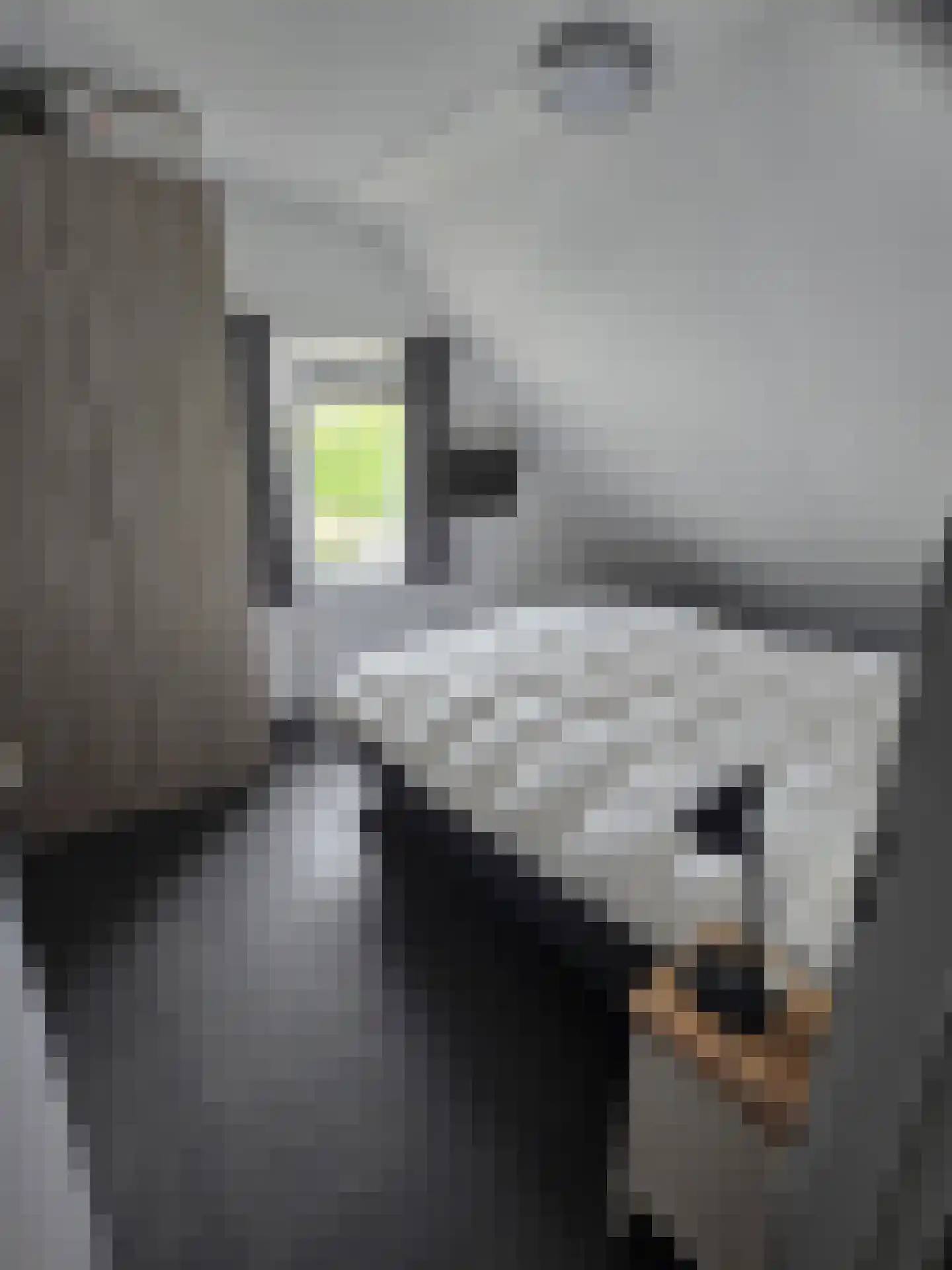 Veermanshof 6 Scharendijke thumbnail 16