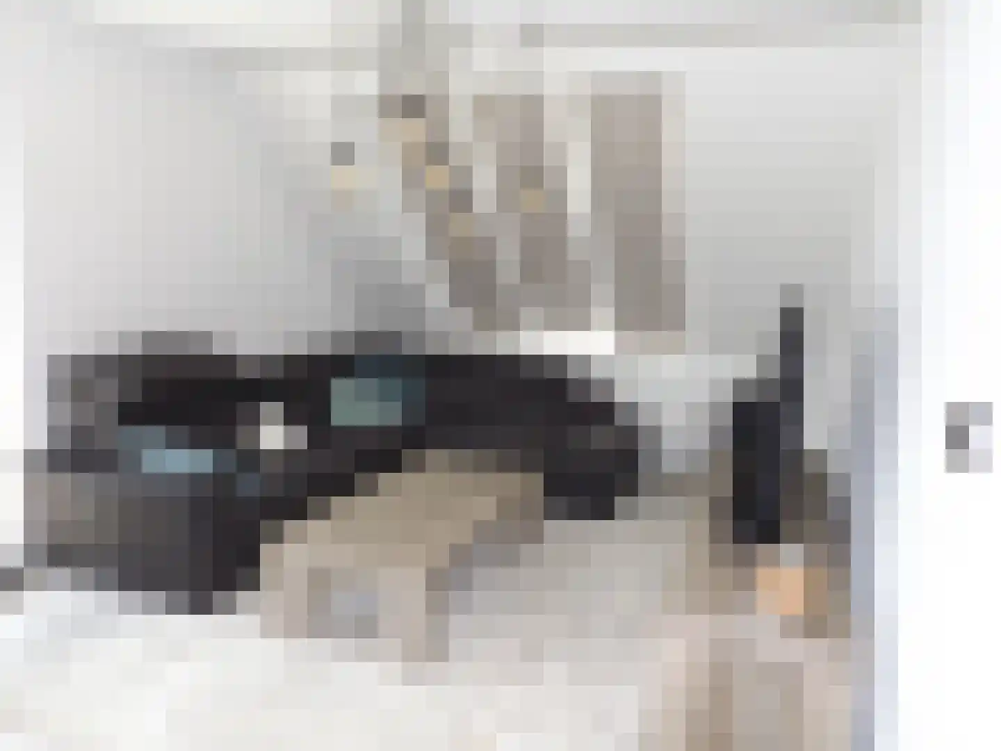 Veermanshof 6 Scharendijke thumbnail 7
