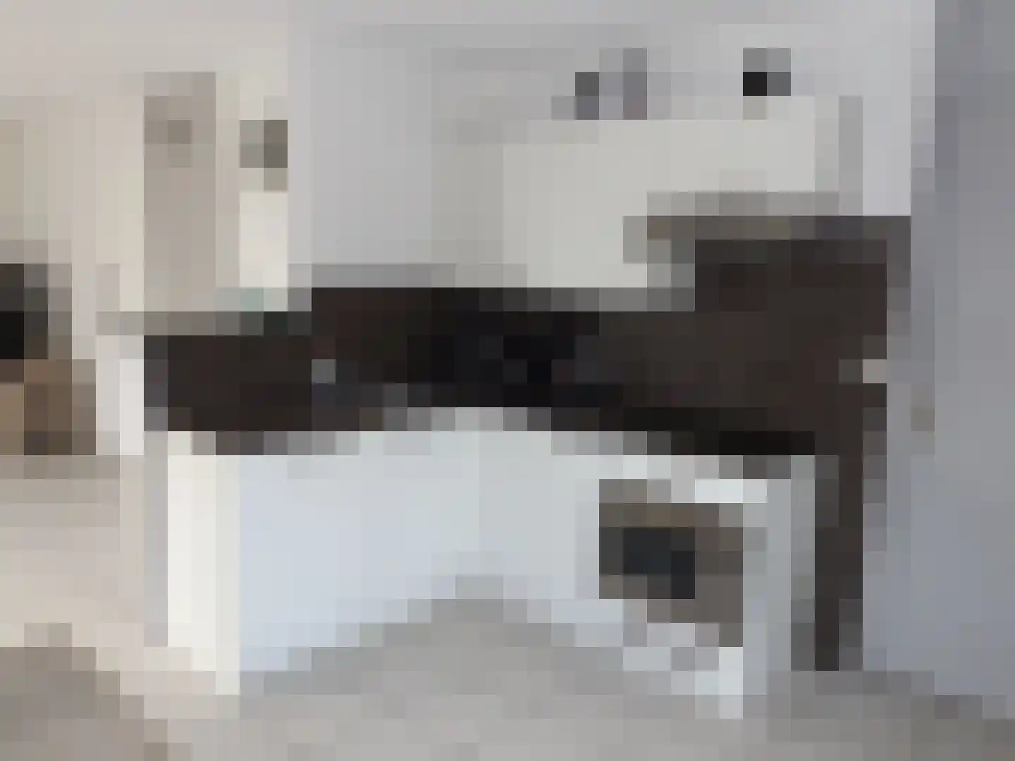 Veermanshof 6 Scharendijke thumbnail 9