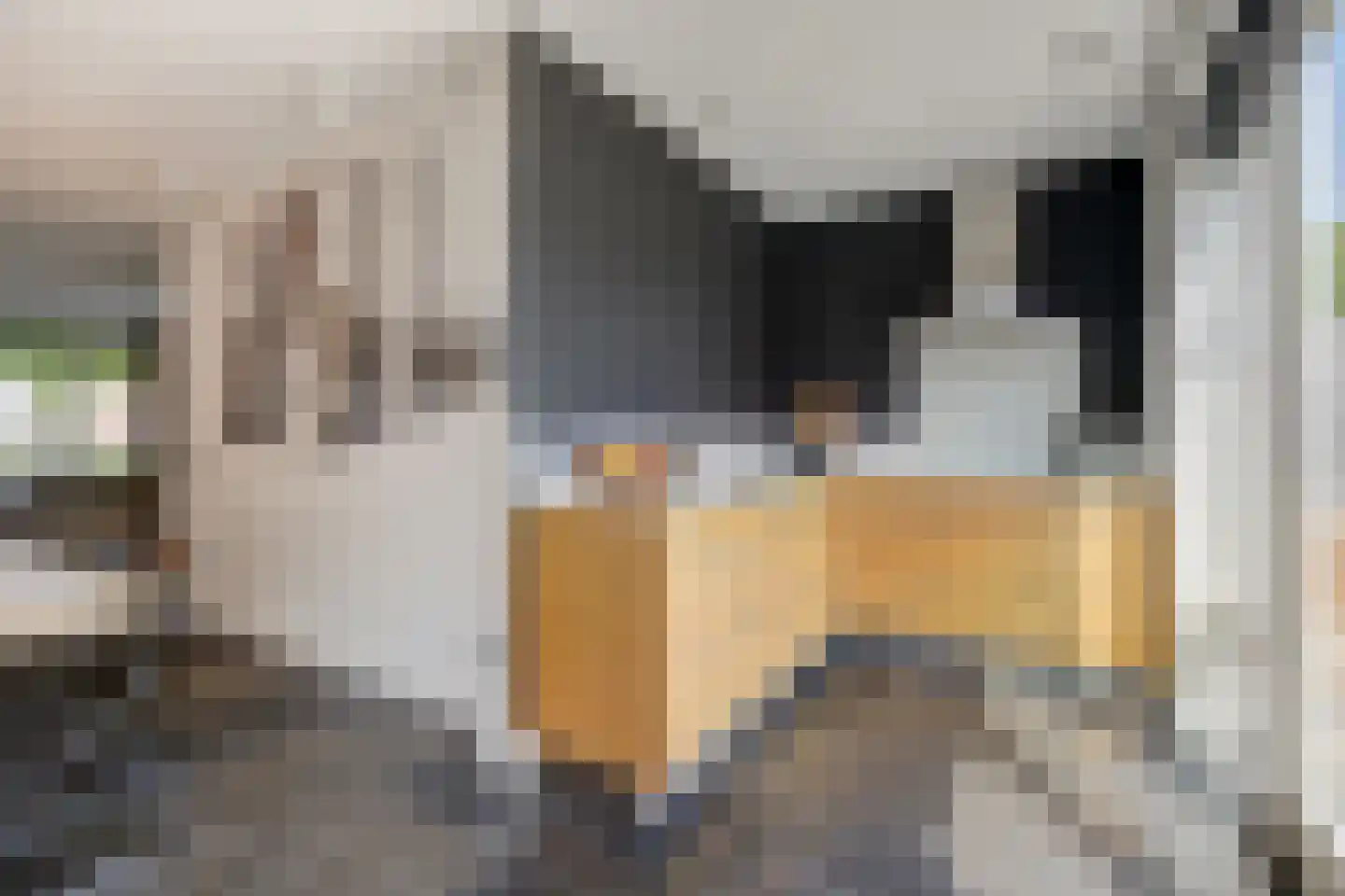 Veermanweg 25 Etten-Leur thumbnail 12