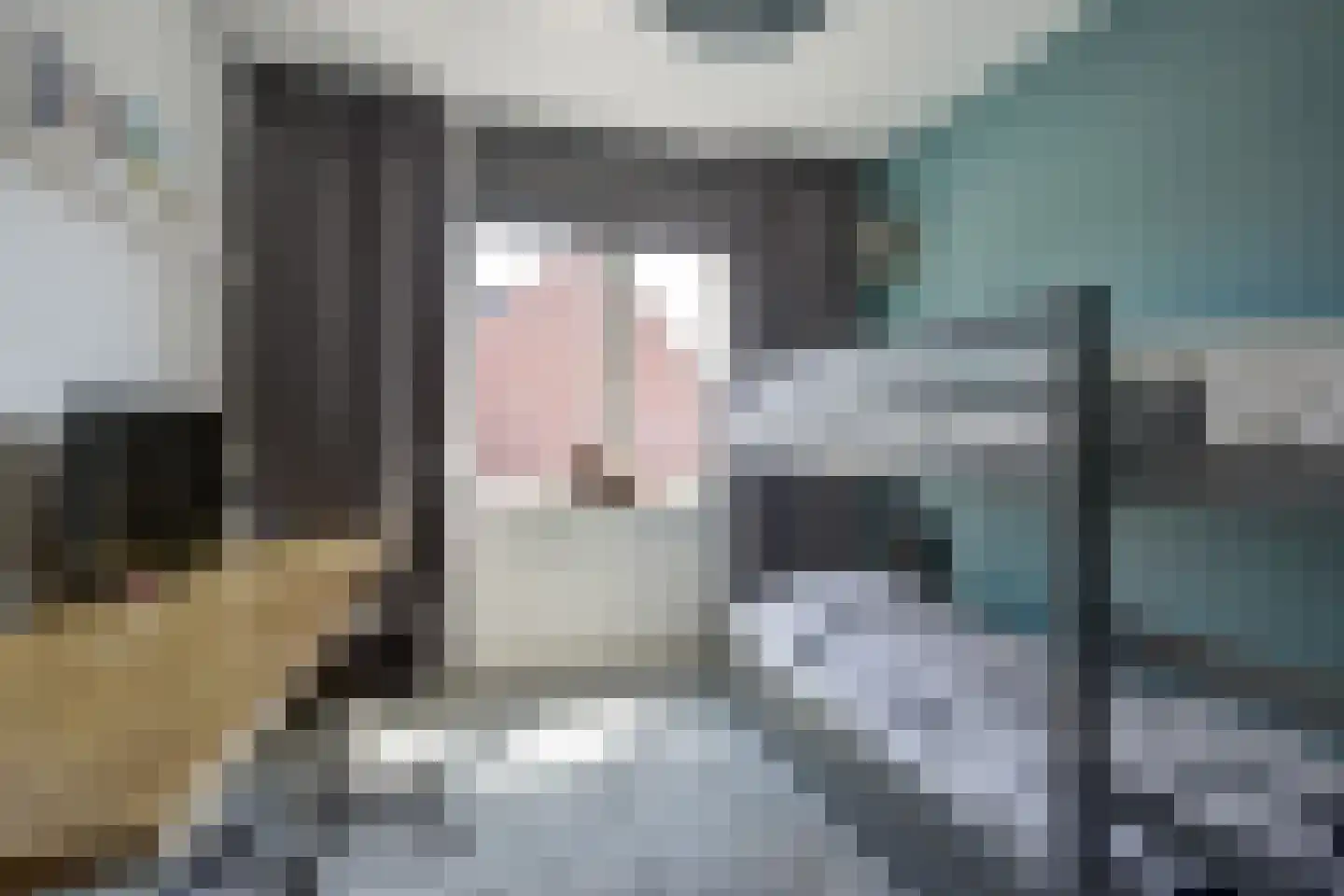 Veermanweg 25 Etten-Leur thumbnail 19