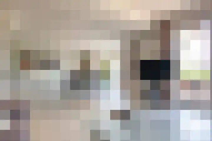 Veermolenweg 10 Haarlemmerliede thumbnail 17