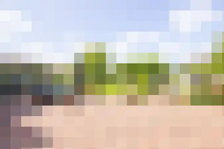 Veermolenweg 10 Haarlemmerliede thumbnail 29