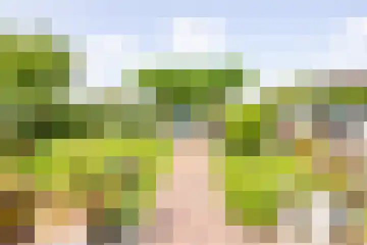 Veermolenweg 10 Haarlemmerliede thumbnail 30