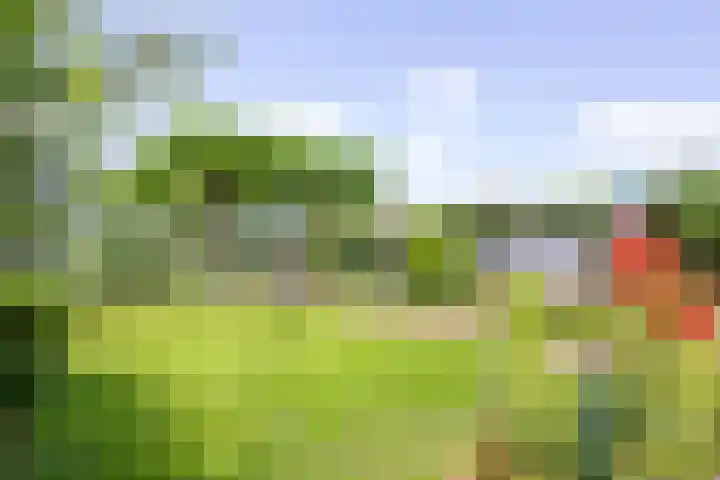Veermolenweg 10 Haarlemmerliede thumbnail 31
