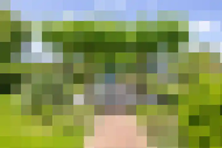 Veermolenweg 10 Haarlemmerliede thumbnail 32