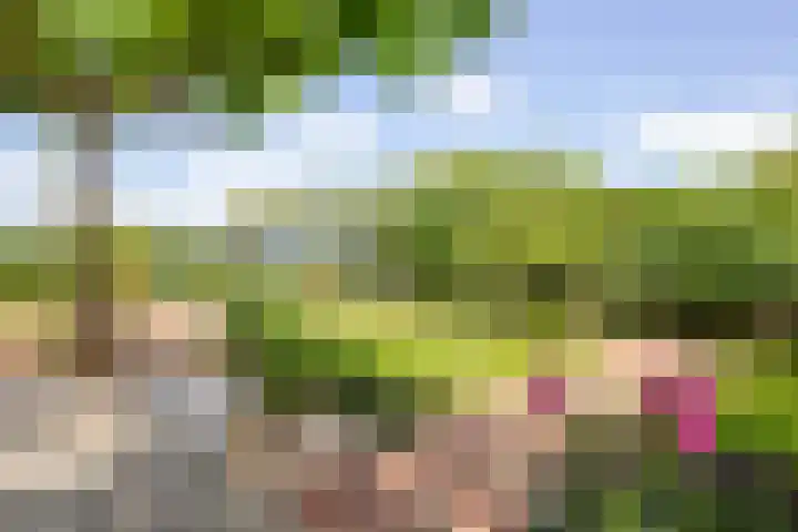 Veermolenweg 10 Haarlemmerliede thumbnail 34