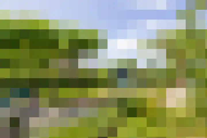Veermolenweg 10 Haarlemmerliede thumbnail 35