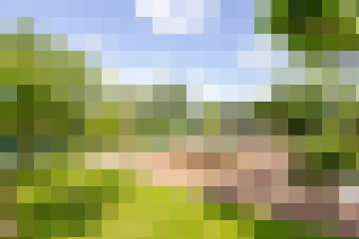 Veermolenweg 10 Haarlemmerliede thumbnail 38