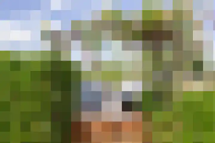 Veermolenweg 10 Haarlemmerliede thumbnail 39