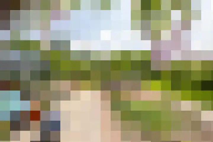 Veermolenweg 10 Haarlemmerliede thumbnail 41