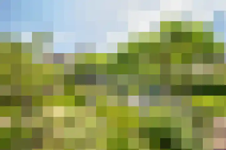 Veermolenweg 10 Haarlemmerliede thumbnail 42