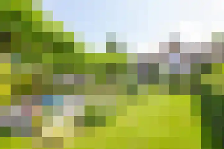 Veermolenweg 10 Haarlemmerliede thumbnail 43