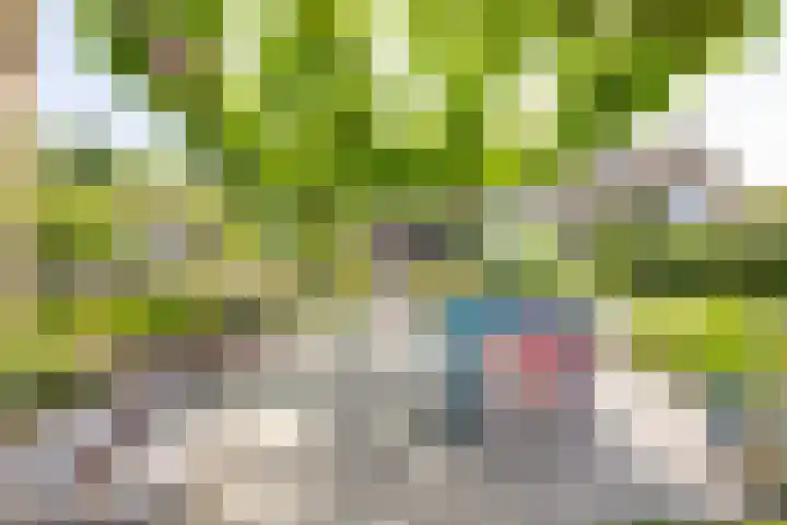 Veermolenweg 10 Haarlemmerliede thumbnail 44