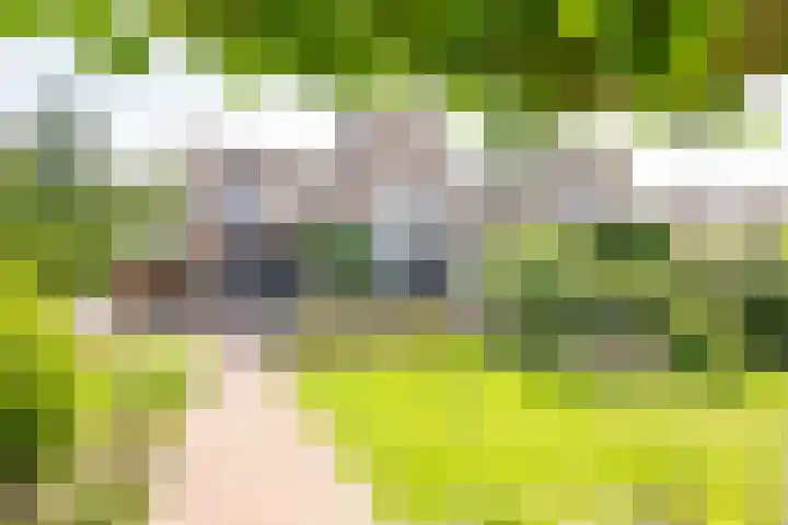 Veermolenweg 10 Haarlemmerliede thumbnail 45