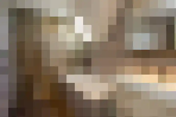 Veermolenweg 10 Haarlemmerliede thumbnail 54