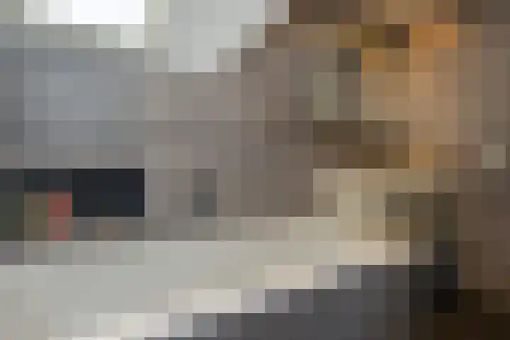 Veermolenweg 10 Haarlemmerliede thumbnail 57