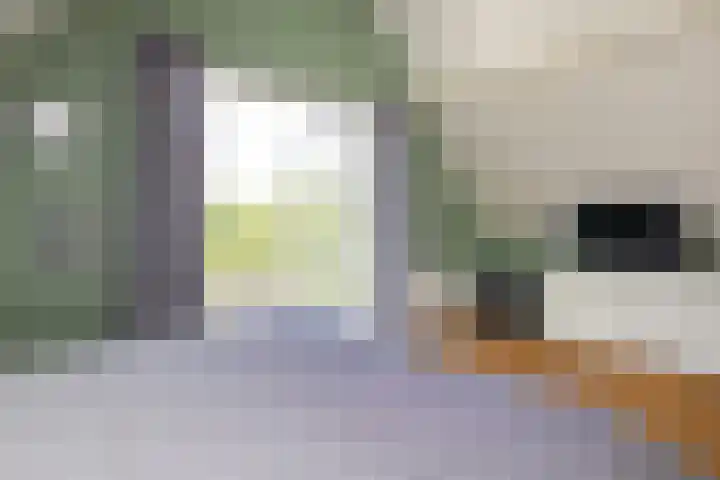 Veermolenweg 10 Haarlemmerliede thumbnail 59