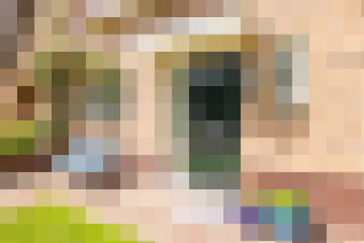 Veermolenweg 10 Haarlemmerliede thumbnail 6