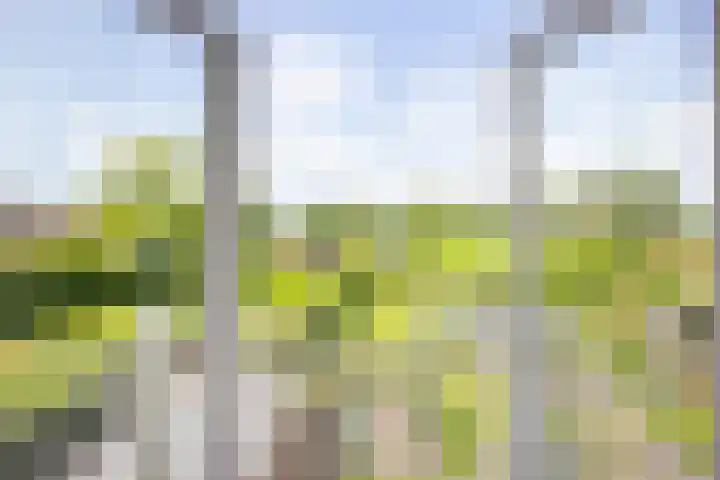 Veermolenweg 10 Haarlemmerliede thumbnail 60