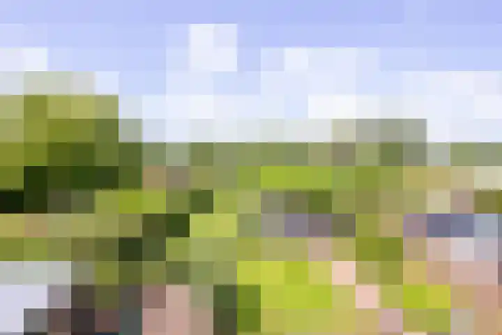 Veermolenweg 10 Haarlemmerliede thumbnail 63